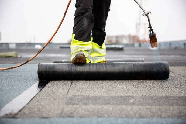 Best Roof Maintenance and Cleaning  in Williston Highlands, FL